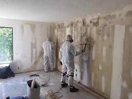 Environmental Consulting for Mold Prevention in Clyde, NY